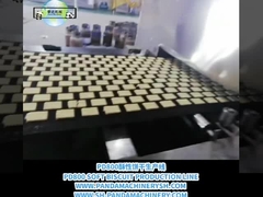 خط البسكويت من A إلى Z خط معالجة البسكويت الآلي الكامل 500 كجم / ساعة معدات صنع البسكويت