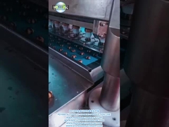 خط إنتاج الكوكيز ذو اللون المزدوج