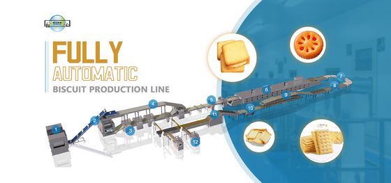 Soft And Hard Biscuit Production Line 1000Kg/H Big Capacity Biscuit Processing Line Large Capacity Biscuit Plant